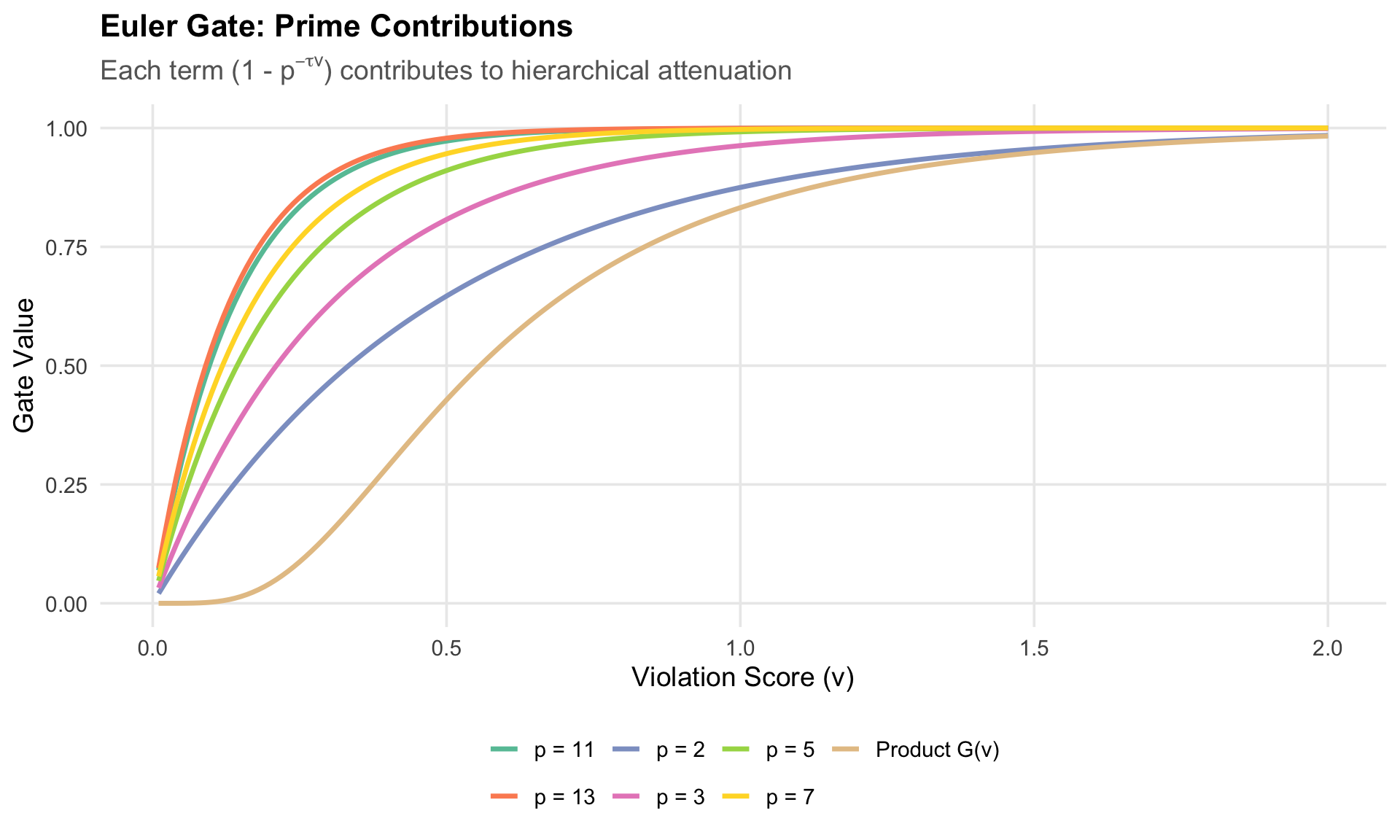 Individual prime contributions to the Euler gate. Smaller primes (2, 3) dominate the product, while larger primes provide fine-grained corrections.